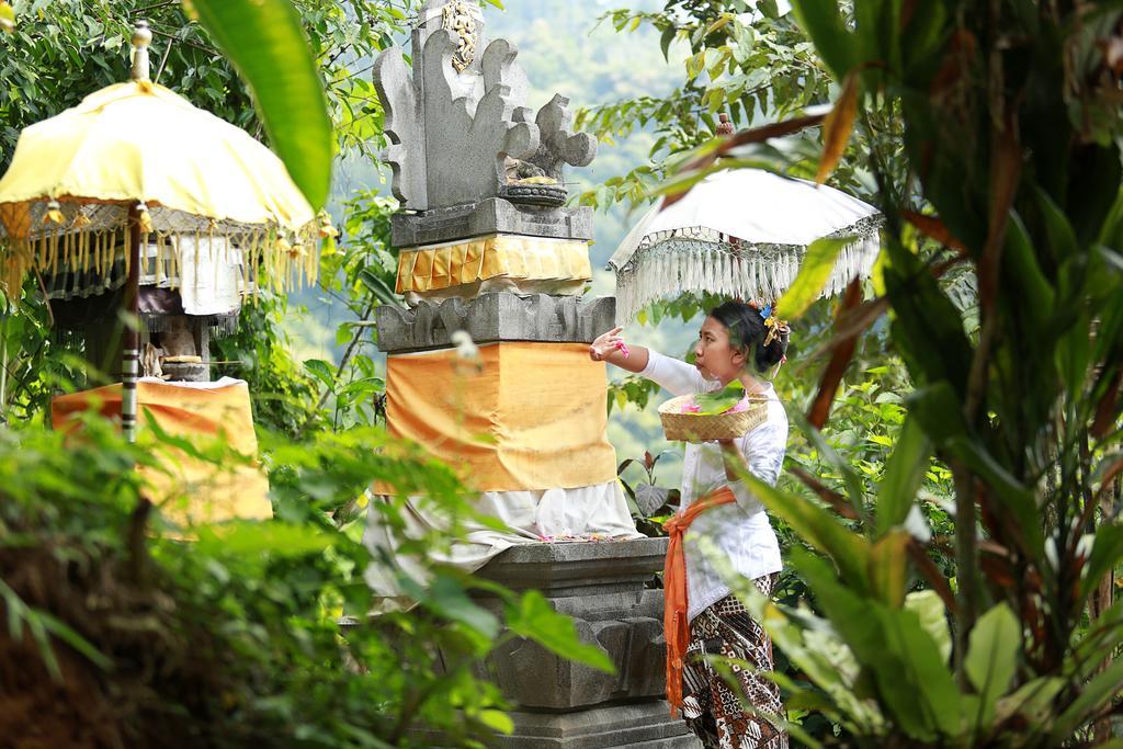 Sang Giri Mountain Tent Resort By Ahm Jatiluwih Eksteriør billede