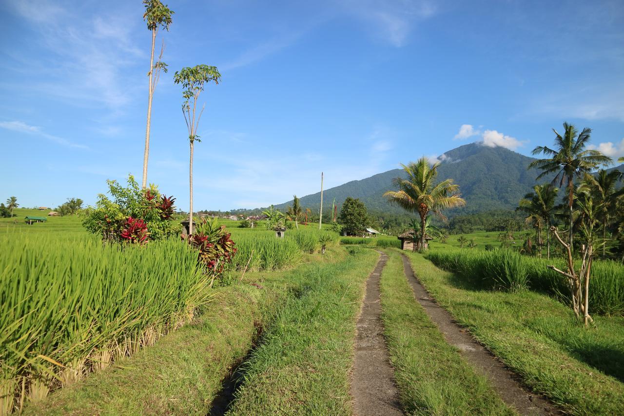 Sang Giri Mountain Tent Resort By Ahm Jatiluwih Eksteriør billede