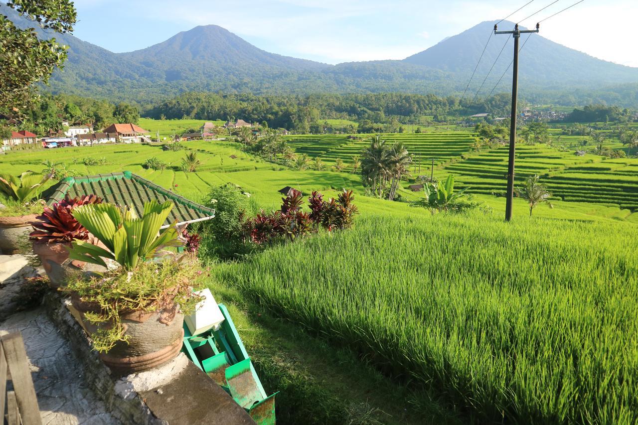 Sang Giri Mountain Tent Resort By Ahm Jatiluwih Eksteriør billede