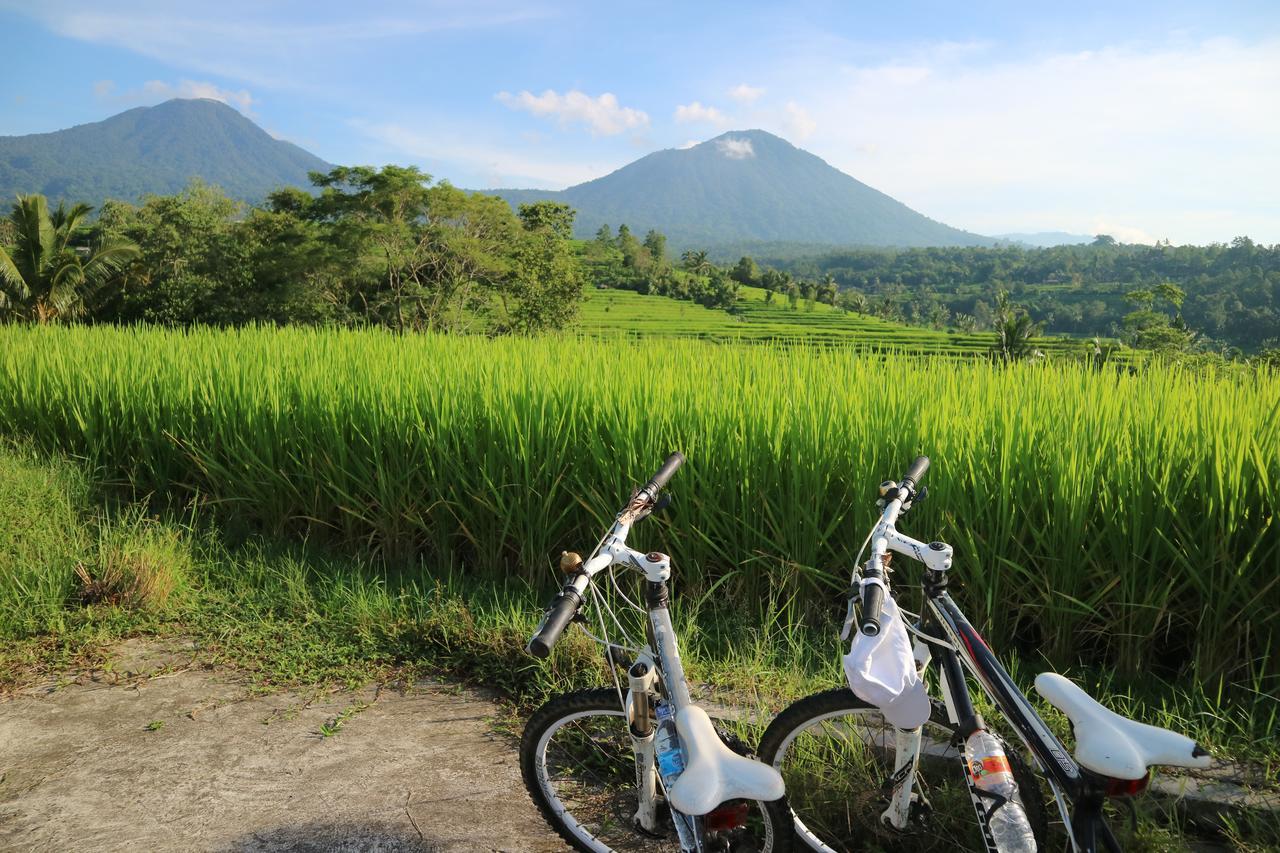 Sang Giri Mountain Tent Resort By Ahm Jatiluwih Eksteriør billede